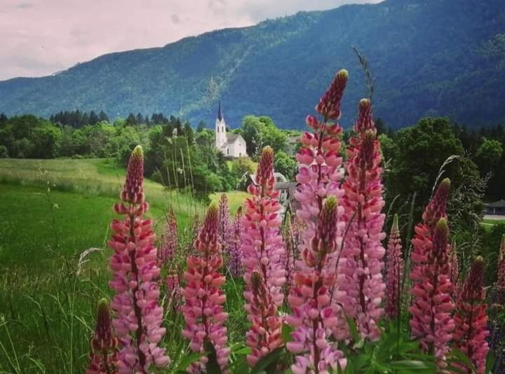 Gasthaus Zum Fuchs - Familie Andrae Hermagor-Pressegger See Zewnętrze zdjęcie